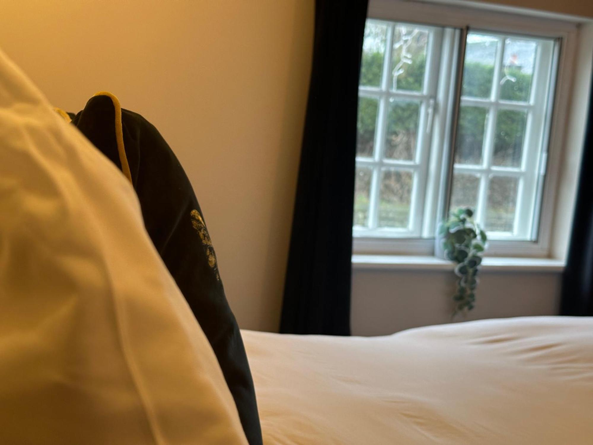 The Unicorn Inn 牛顿索内 外观 照片